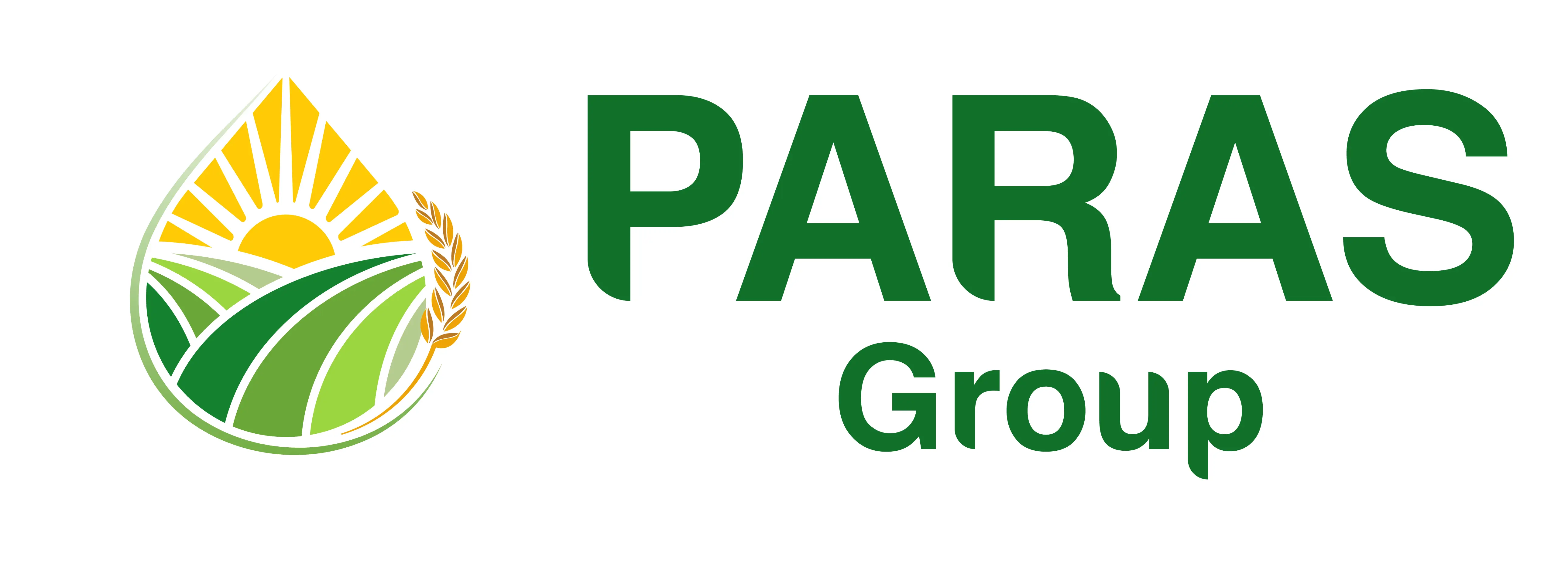 Paras Group Logo